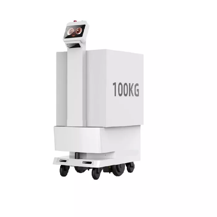 Doručovací robot